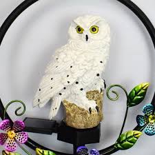 Solar Owl LED Hanging Light